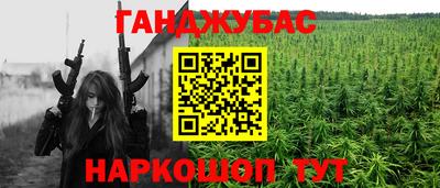 гидропоника Гусиноозёрск