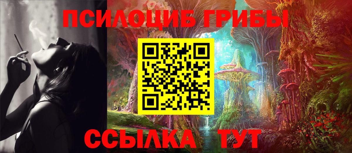 Галлюциногенные грибы Psilocybe  Псилоцибиновые грибы ЛСД  Новозыбков  магазин продажи   Вход с VPN 